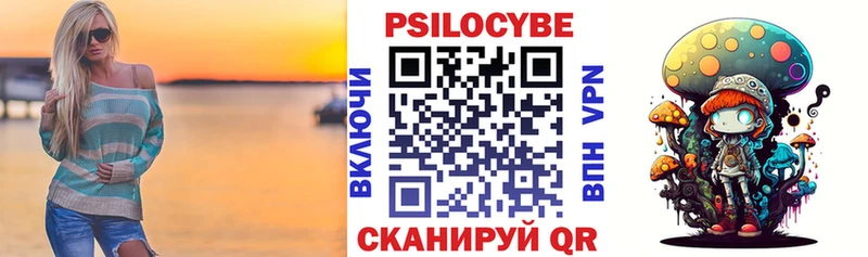 Галлюциногенные грибы Psilocybe  Купить закладки  Альметьевск 